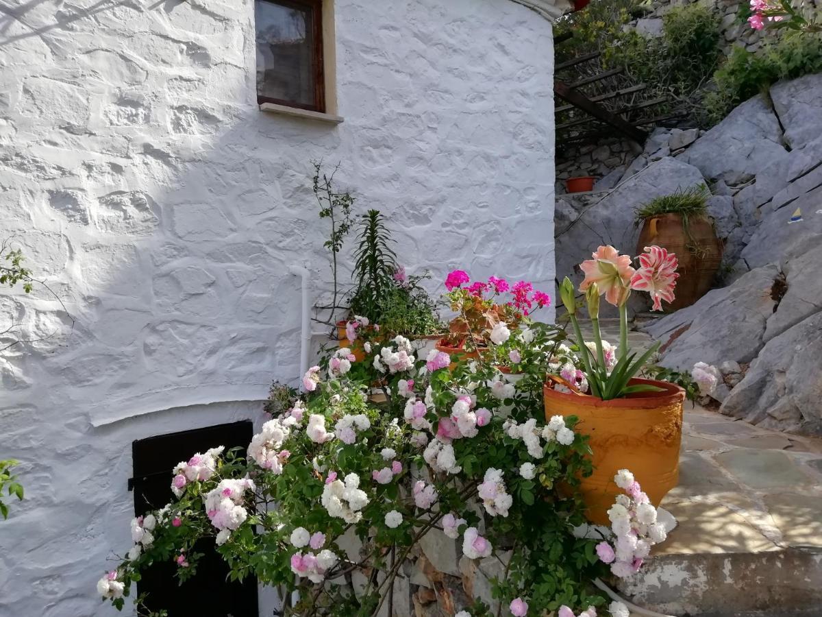 Arbeli House Villa Mandraki  Екстериор снимка
